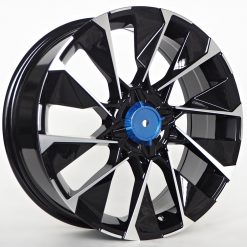 neil_swsr13_17inch_bfm